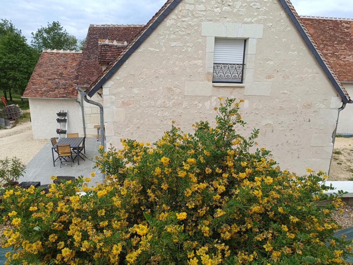 Gite De La Grand Maison Le Noyer Seigy Buitenkant foto